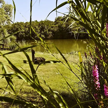Sari Udvar Bed & Breakfast